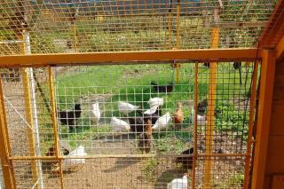 Casa El Vivero Para Quien Ama La Naturaleza - La Granja - 4