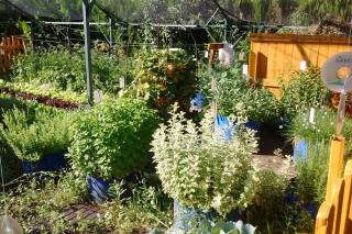 Casa El Vivero Para Quien Ama La Naturaleza - La Granja - 3