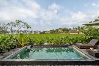 Van Sheva Ubud Villa - Ubud - 2