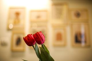 The Clay Studio - 2BR Artistic yet modern Loft located strategically near Shopping Centre and Market - 7