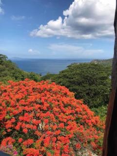 Casa Monk - Nasugbu - 9