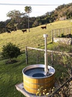 Jamberoo Valley Farm - Jamberoo - 6