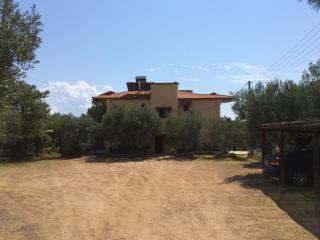 Kostas House - Gerakini - 5