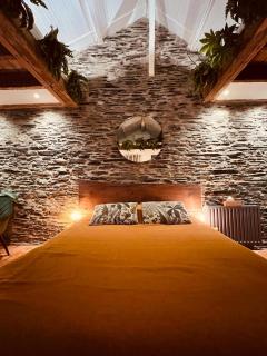 LOVE ROOM JUNGLE - LES PETITS PLAISIRS - Angers - 3