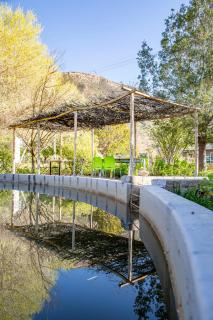 Yellow House Prince Albert - 9