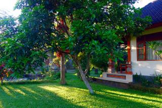 Swan Inn - Ubud - 2