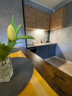 Apartament Asspazja - Stronie Śląskie - 7