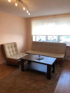 Cozy home of Eve - Druskininkai - 0