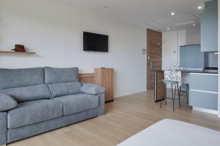 MANTULENE Apartments - Basque Stay - 1