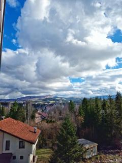 GOFD Apartman Zlatibor - Zlatibor - 2