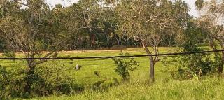 Bliss Lake, Holiday Bungalow, Thissawewa - 9