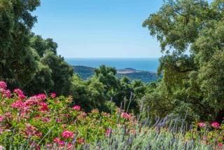 Luxury country house with pool and breathtaking views - Casares - 4