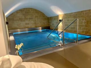 Exklusive Stadtwohnung mit Innenhofterrasse, Pool und Sauna - Berna - 4