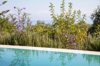 Villa Alkyoni Mare - Chlomós - 6