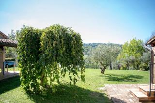 Il Salino Country House - 1