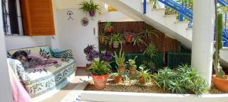 Casa Chiki - Vera - 8