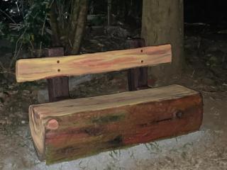 Greenwoods Nature Camp - 2