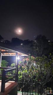 Curta a terra dos Dinos na casa verde - Miguel Pereira - 6