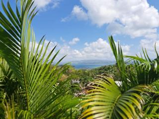 Villa Vue Mer pour 8 personnes - Les Trois-Îlets - 6