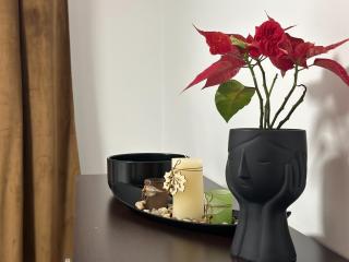Cozy Deluxe King Studio - Coresi Avantgarden Brasov - Braşov - 3