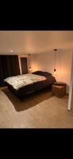 suite l'hallali du cerf - Besançon - 4
