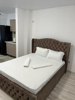 Pollux Residence Militari ap 94 - Dudu - 3