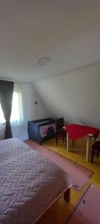 Kuća za odmor Zlatiborska zora - Semegnjevo - 1