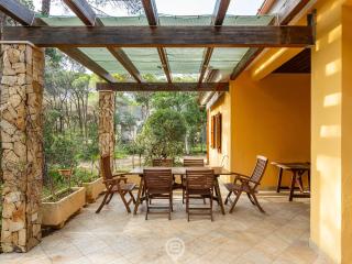 Seaside Pineta Retreat - Near the beach & parking - 7