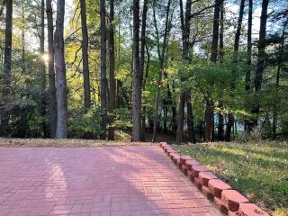 Garden's Grace: Whispers - Silver Spring - 9