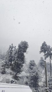 त्रिnity homestay - 1