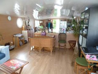 House boat AJA - Vigneux-sur-Seine - 4