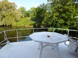 House boat AJA - Vigneux-sur-Seine - 2