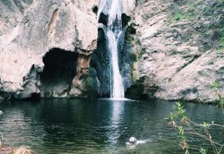 The Creek Retreat - Totally private 1Br/1Bd - - 1