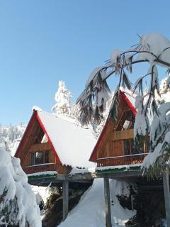 The Riverbank Nest - 7