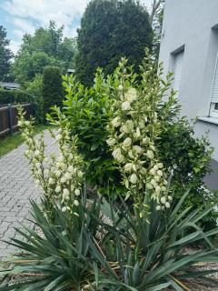 Eichbachgasse 38 - Graz - 3