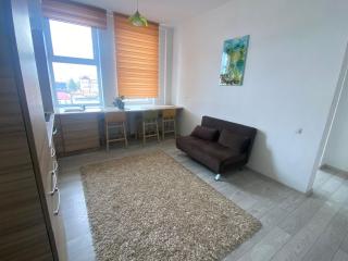 Apartament Claudia - Baia Mare - 3