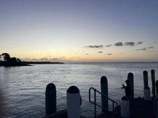 Waves 348 - Free WiFi - Late CheckOut - Garage - Cowes - 8