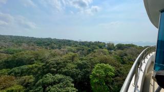 09I Jungle/Ocean View to thrill Nature Enthusiasts - Città di Panama - 7