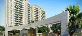 Apartamento Luxo Barra - 4
