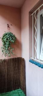 Charmant appart, 6 pers centre ville touristique - Tolone - 3