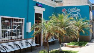 Hotel Garden Wilson - Iquique - 8