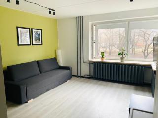 Modern & Cozy Gem - Spacious Central Retreat with private entrance - Vilnius - 0
