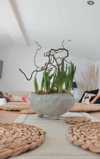 Garden Cottage in heart of Kent - Kent - 3