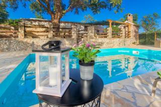 Luxury house Ivan with 4 bedrooms - Divojevići - 5