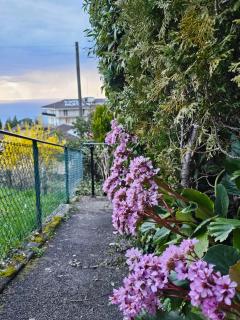 La Pergola - Montreux - 6