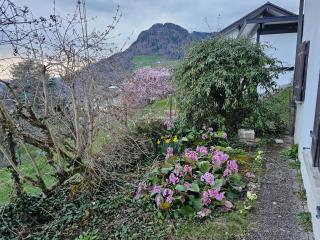 La Pergola - Montreux - 5