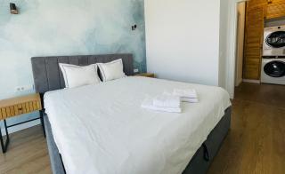 Premium Silk Apartment - Iaşi - 7