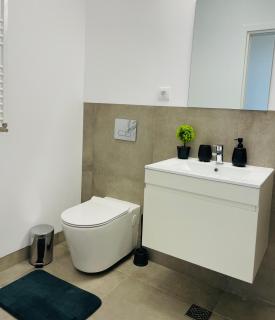 Premium Silk Apartment - Iaşi - 1