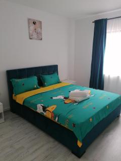 Casa Amalia - Năvodari - 8