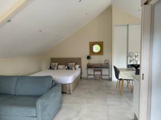 Grand studio charmant, tout équipé… - Saint-Denis - 4